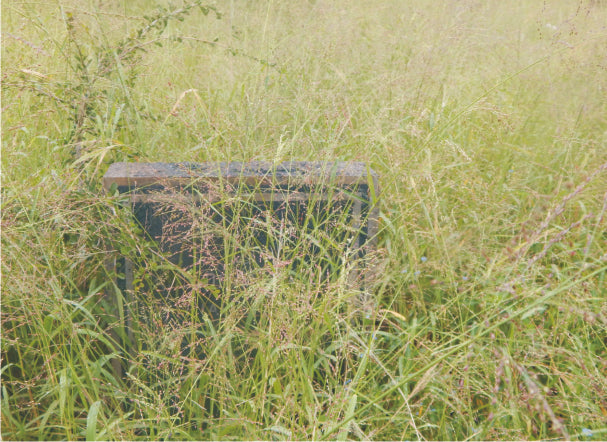 Muslim daughter cries over grave situation at the Rebecca Str cemetery