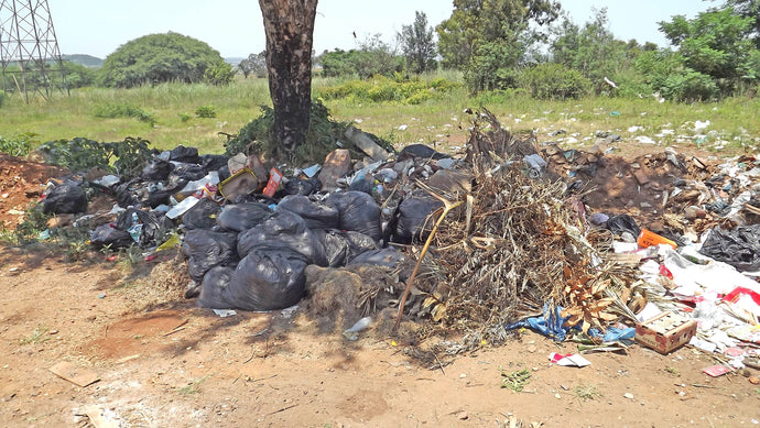 Filth and stink  - Illegal dumping causes anguish in Ext 3